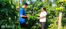 Tín dụng chính sách xã hội hỗ trợ thanh niên khởi nghiệp