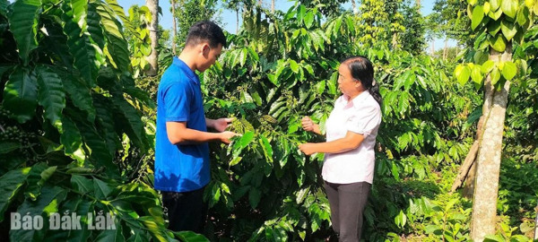 Tín dụng chính sách xã hội hỗ trợ thanh niên khởi nghiệp