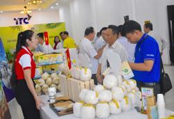 Thị trường Trung Quốc "hút hàng", nhà máy dừa trong nước lại gặp nghịch cảnh