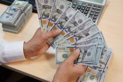Dự báo mới nhất về giá USD tại Việt Nam
