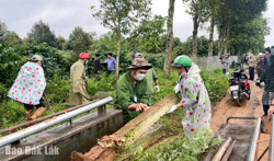 Thỏa thuận thành công việc thi hành án dân sự giữa người nhận khoán và Công ty Cà phê 719