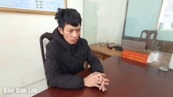 Lên mạng lừa bán rau củ rồi chiếm đoạt tài sản