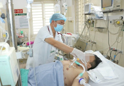 Lo ngại dịch sốt xuất huyết quay trở lại