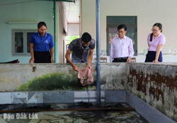 Huyện Lắk: Dư nợ cho vay tín dụng chính sách đạt gần 585 tỷ đồng