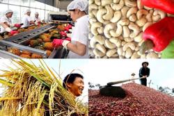 Thương hiệu quốc gia cho nông sản