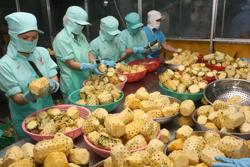 Tín hiệu tích cực xuất khẩu nông sản năm 2024