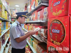 Ban Chỉ đạo 389 tỉnh xử lý 637 vụ vi phạm trong dịp Tết Nguyên đán 2024