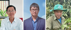 Cần tận dụng cơ hội để nâng cao tính bền vững của ngành hàng