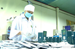 Rút ngắn thời gian giải quyết một số thủ tục hành chính thuộc lĩnh vực đăng ký doanh nghiệp