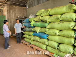 Nông dân ứng phó linh hoạt trước biến động thị trường