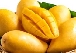 Úc mua xoài, vải, thanh long... nhiều nhất từ Việt Nam
