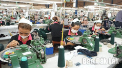 Số doanh nghiệp thành lập mới tăng 12,4% so với cùng kỳ
