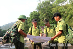 Chủ động phòng, chống cháy rừng
