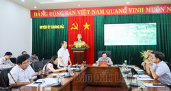 Chuẩn bị chu đáo các chuỗi sự kiện trong Lễ hội Sầu riêng huyện Krông Pắc lần thứ II