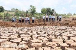 Đắk Lắk đối mặt nguy cơ khô hạn trên diện rộng
