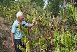 9.960ha cây trồng ở Đắk Nông nguy cơ mất mùa do hạn hán