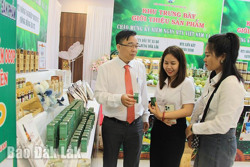 Động lực để hợp tác xã nông nghiệp phát triển bền vững