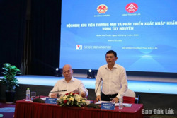 Thúc đẩy công tác xúc tiến thương mại và phát triển xuất nhập khẩu vùng Tây Nguyên