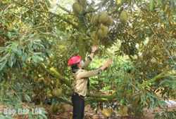 Cần một "chữ tín"!