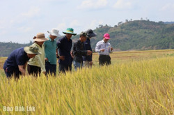 “Điều đó tùy thuộc hành động của bạn…”