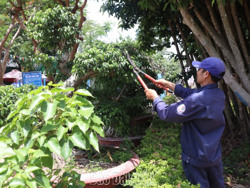 Huyện Lắk tăng cường chỉnh trang đô thị phục vụ Hội thao khối Đảng tỉnh lần thứ XXII