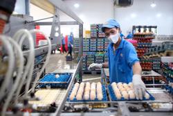 Ngại ngần tiếp cận vốn hỗ trợ, ưu đãi : Chính sách cần sát thực tiễn hơn