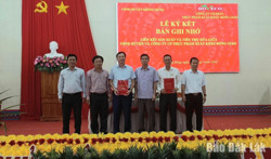 Ký kết biên bản ghi nhớ hợp tác liên kết sản xuất và tiêu thụ sản phẩm dứa