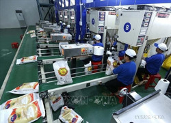 Đảm bảo nhu cầu xuất khẩu hơn 8 triệu tấn gạo
