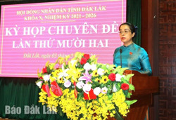 Khai mạc Kỳ họp Chuyên đề lần thứ Mười hai HĐND tỉnh khóa X