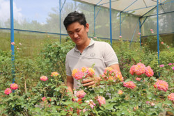 Thanh niên bỏ phố lên rừng, trồng hoa thu hơn 10 tỷ đồng mỗi năm