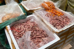 Chặn thực phẩm “bẩn” từ nguồn