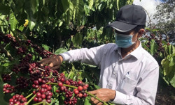 Xuất khẩu 5 tháng đầu năm: Điểm mặt những ngành hàng tăng trưởng ấn tượng
