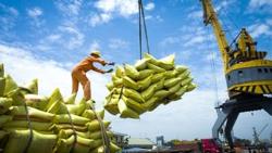 Bộ Công thương đang hoàn thiện sửa đổi nghị định về xuất khẩu gạo