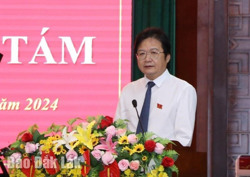 Kỳ họp thứ Tám, HĐND tỉnh khóa X: Giám sát chuyên đề về phát triển cà phê bền vững