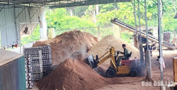 Toàn tỉnh thành lập mới 38 hợp tác xã