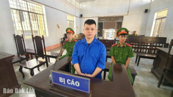 Thuê xe ôtô rồi mang đi cầm cố, đối tượng lĩnh 19 năm tù