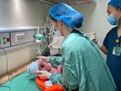 Thủ tướng Chính phủ: Rà soát chính sách dân số để duy trì mức sinh bền vững