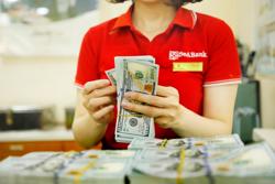 Giá USD ngân hàng và tự do có diễn biến mới