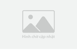 Nên đánh răng trước hay sau ăn sáng?