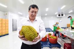 Thứ trưởng Hoàng Trung: Trung thực và lành mạnh để ngành hàng trái cây phát triển bền vững
