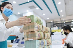 Thúc giải ngân gói tín dụng 120.000 tỷ đồng