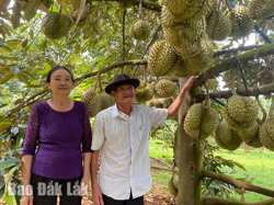 Thu nhập tiền tỷ từ trồng trọt