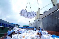 Thêm tin vui cho gạo Việt Nam