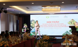 Xây dựng vùng nguyên liệu chanh dây xuất khẩu