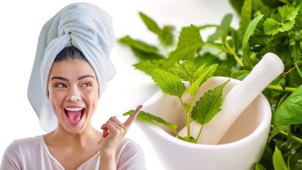 Những thảo dược nào giúp làm đẹp da?