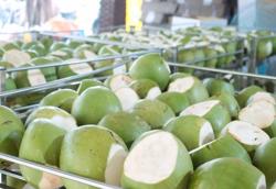 Cơ hội mở rộng xuất khẩu nông sản