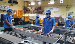 Năm 2024, thu nhập trung bình của người lao động tăng 8,5% so với năm trước