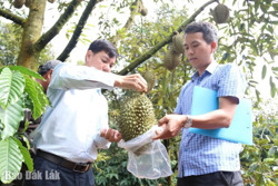 Tick xanh trách nhiệm: Minh bạch hóa trong khâu kiểm soát chất lượng hàng hóa