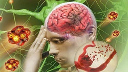 Mùa đông, đề phòng đột quỵ