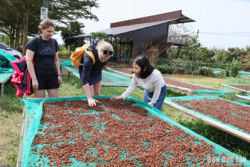 Phát động Cuộc thi sáng tạo nội dung số tuyên truyền Lễ hội Cà phê Buôn Ma Thuột trên môi trường mạng
